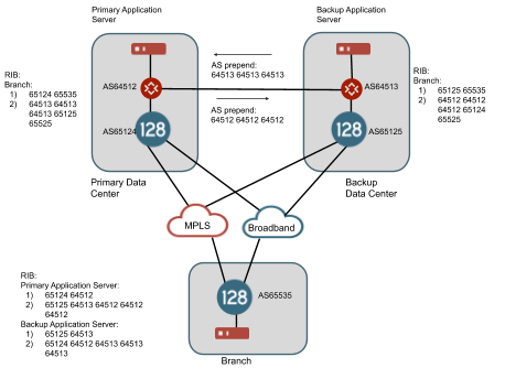 BGP over SVR